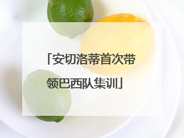 安切洛蒂首次带领巴西队集训