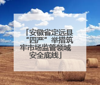 安徽省定远县“四严”举措筑牢市场监管领域安全底线