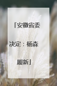 安徽省委决定：杨森履新
