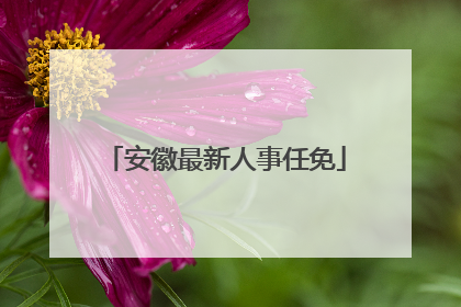安徽最新人事任免