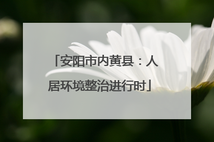 安阳市内黄县：人居环境整治进行时