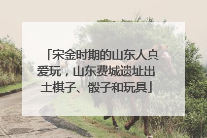 宋金时期的山东人真爱玩，山东费城遗址出土棋子、骰子和玩具