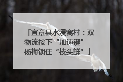 宜章县水浸窝村：双物流按下“加速键” 杨梅锁住“枝头鲜”