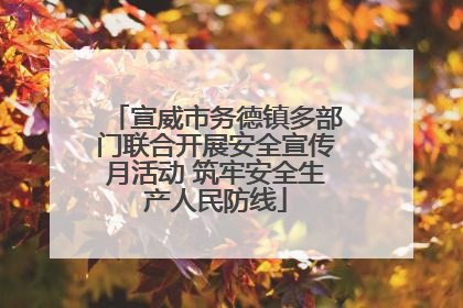 宣威市务德镇多部门联合开展安全宣传月活动 筑牢安全生产人民防线