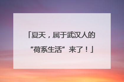 夏天，属于武汉人的“荷系生活”来了！