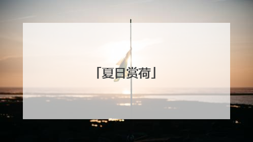 夏日赏荷