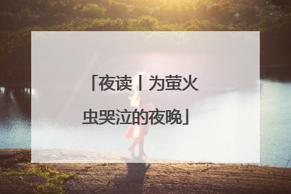 夜读丨为萤火虫哭泣的夜晚
