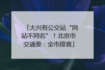 大兴有公交站“同站不同名”！北京市交通委：全市排查