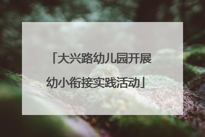 大兴路幼儿园开展幼小衔接实践活动
