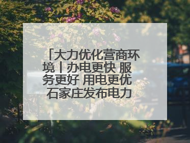 大力优化营商环境丨办电更快 服务更好 用电更优 石家庄发布电力服务助力经济高质量发展八项措施