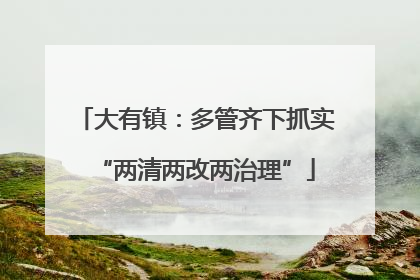 大有镇：多管齐下抓实“两清两改两治理”