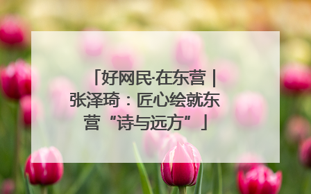 好网民·在东营｜张泽琦：匠心绘就东营“诗与远方”