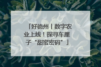 好德州丨数字农业上线！探寻车厘子“甜蜜密码”