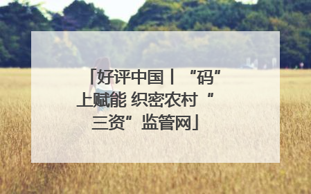 好评中国丨“码”上赋能 织密农村“三资”监管网