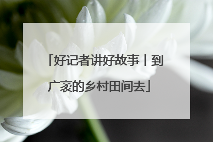 好记者讲好故事丨到广袤的乡村田间去