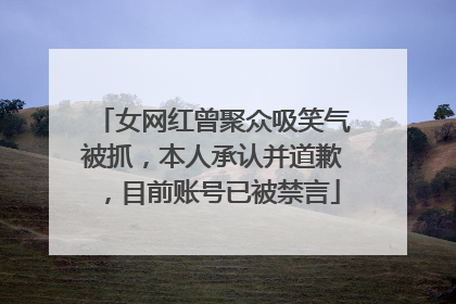 女网红曾聚众吸笑气被抓，本人承认并道歉，目前账号已被禁言