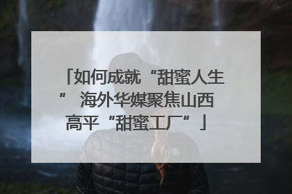 如何成就“甜蜜人生” 海外华媒聚焦山西高平“甜蜜工厂”