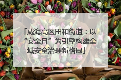 威海高区田和街道：以“安全月”为引擎构建全域安全治理新格局