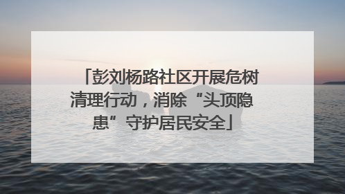 彭刘杨路社区开展危树清理行动，消除“头顶隐患”守护居民安全