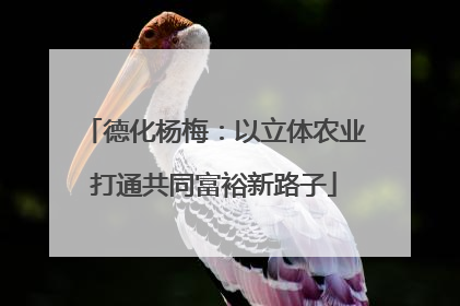 德化杨梅：以立体农业打通共同富裕新路子