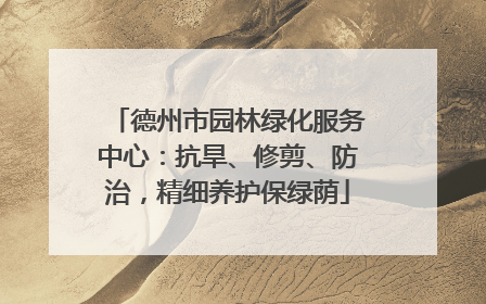 德州市园林绿化服务中心：抗旱、修剪、防治，精细养护保绿荫