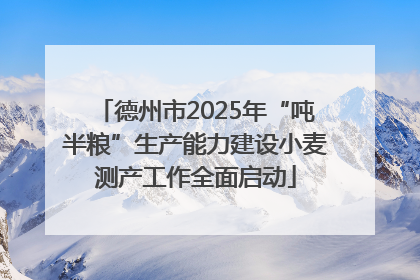 德州市2025年“吨半粮”生产能力建设小麦测产工作全面启动