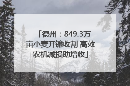 德州：849.3万亩小麦开镰收割 高效农机减损助增收