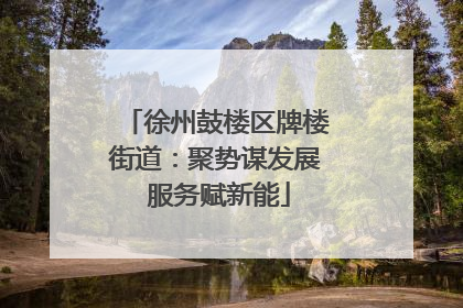 徐州鼓楼区牌楼街道：聚势谋发展 服务赋新能