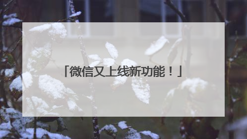 微信又上线新功能！