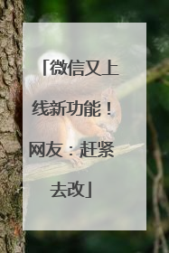 微信又上线新功能！网友：赶紧去改
