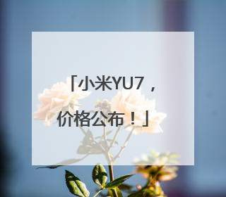 小米YU7，价格公布！