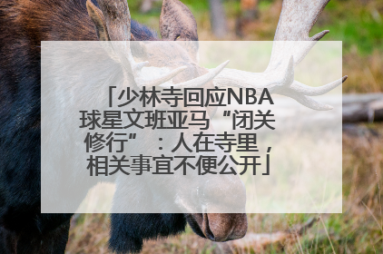 少林寺回应NBA球星文班亚马“闭关修行”：人在寺里，相关事宜不便公开