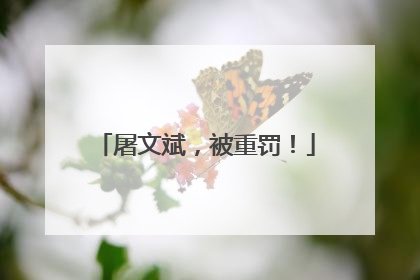 屠文斌，被重罚！