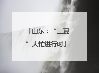 山东：“三夏”大忙进行时