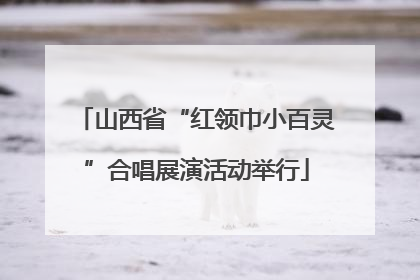 山西省“红领巾小百灵”合唱展演活动举行