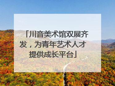 川音美术馆双展齐发，为青年艺术人才提供成长平台