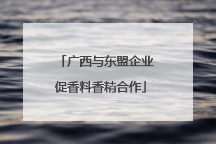 广西与东盟企业促香料香精合作