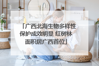 广西北海生物多样性保护成效明显 红树林面积居广西首位