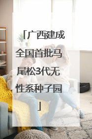 广西建成全国首批马尾松3代无性系种子园