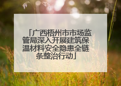 广西梧州市市场监管局深入开展建筑保温材料安全隐患全链条整治行动
