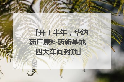 开工半年，华纳药厂原料药新基地四大车间封顶