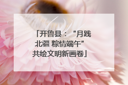 开鲁县：“月践北疆 粽情端午”共绘文明新画卷