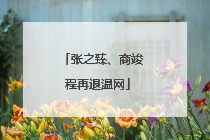 张之臻、商竣程再退温网