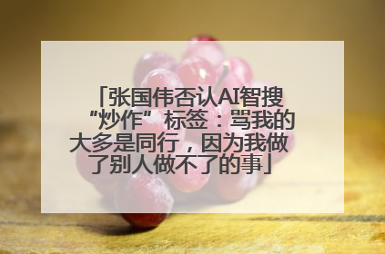 张国伟否认AI智搜“炒作”标签：骂我的大多是同行，因为我做了别人做不了的事