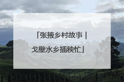 张掖乡村故事｜戈壁水乡插秧忙