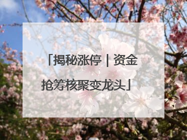揭秘涨停｜资金抢筹核聚变龙头