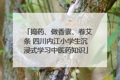 捣药、做香囊、卷艾条 四川内江小学生沉浸式学习中医药知识