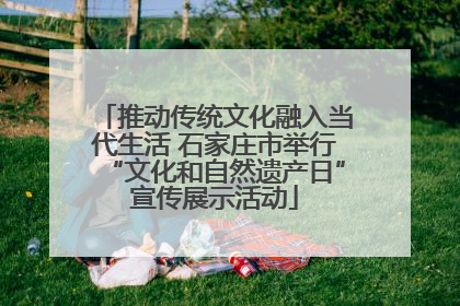 推动传统文化融入当代生活 石家庄市举行“文化和自然遗产日”宣传展示活动