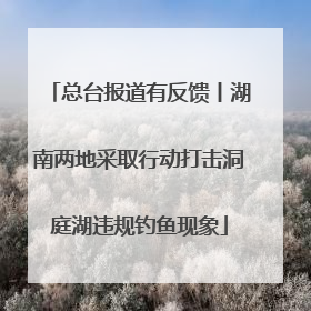 总台报道有反馈丨湖南两地采取行动打击洞庭湖违规钓鱼现象