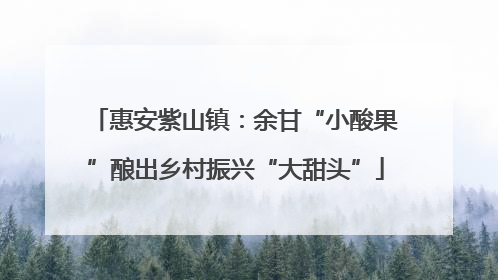 惠安紫山镇：余甘“小酸果”酿出乡村振兴“大甜头”